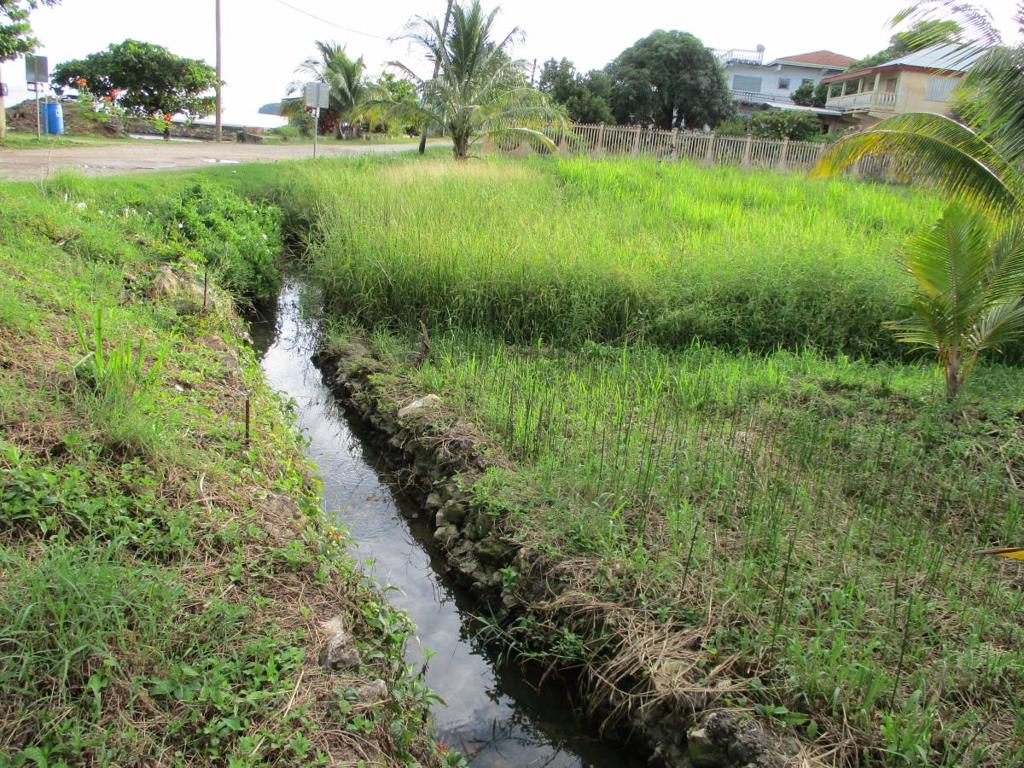 listing image with ID 64173