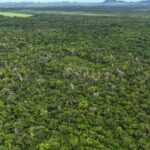 listing image thumbnail with ID 66650