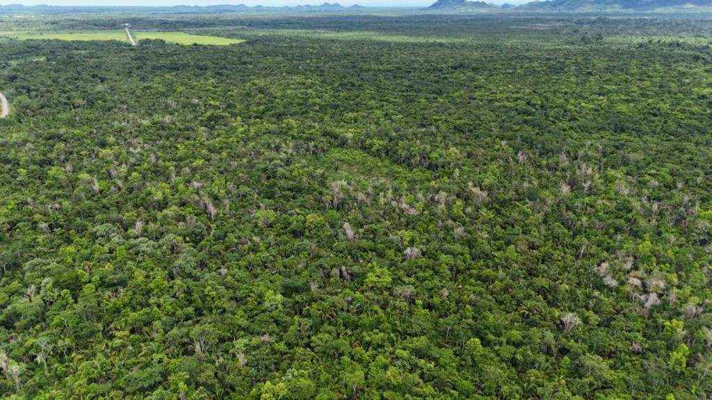 listing image with ID 66650