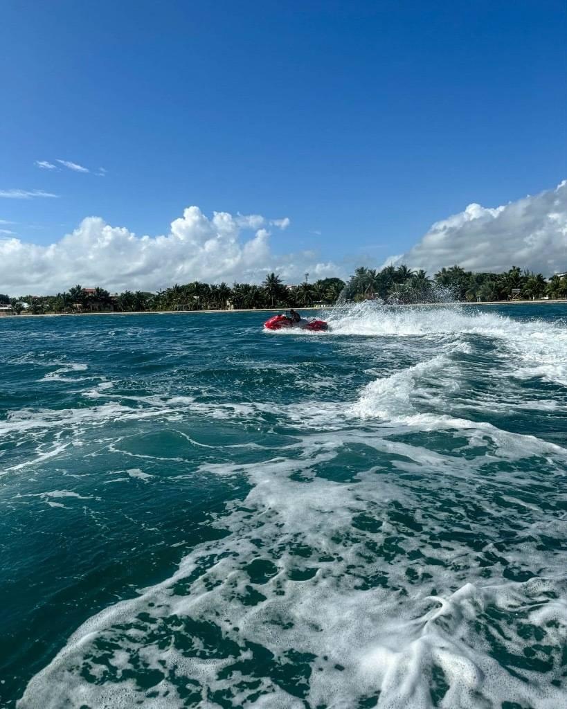 listing image with ID 68157