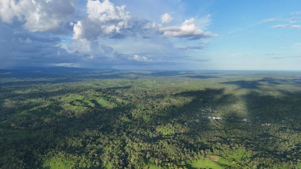 listing image with ID 66889