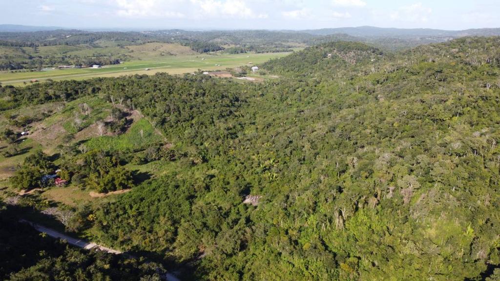 listing image with ID 67577