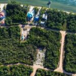 listing image thumbnail with ID 67819