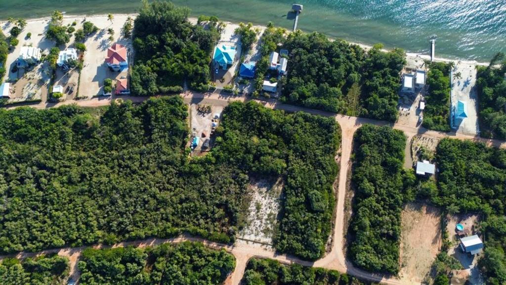 listing image with ID 67819