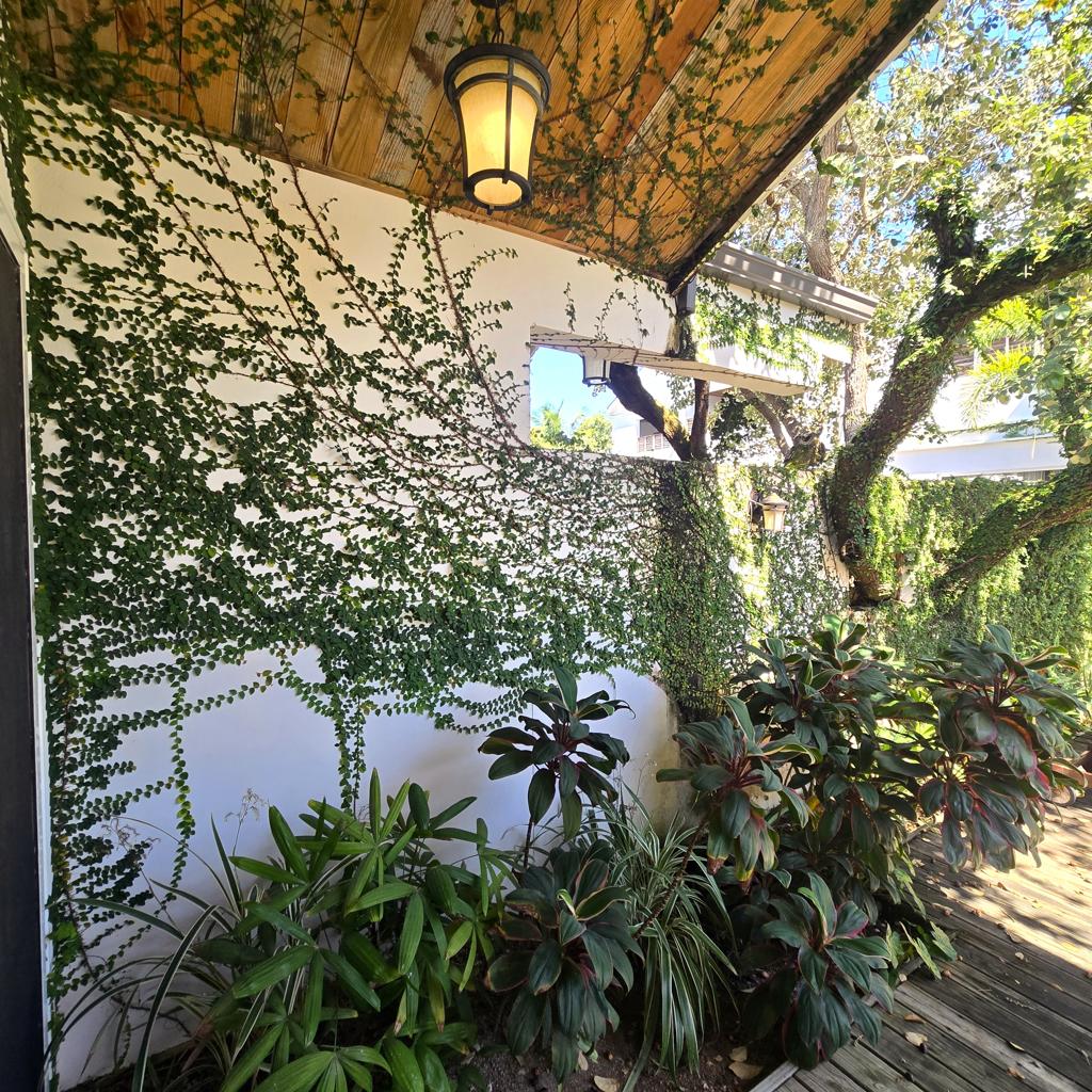 listing image with ID 68903