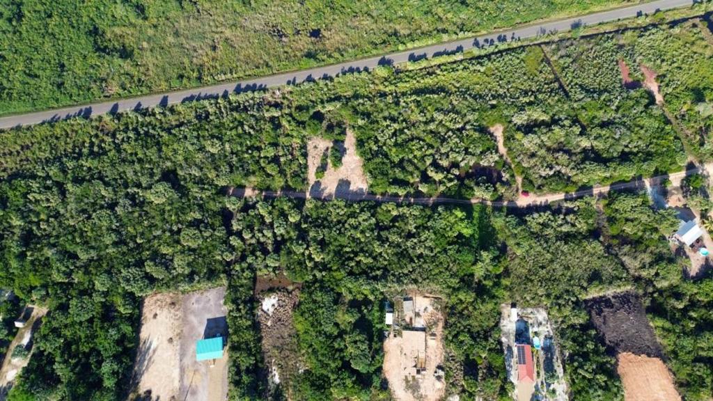 listing image with ID 67812