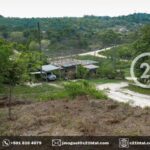 listing image thumbnail with ID 65428