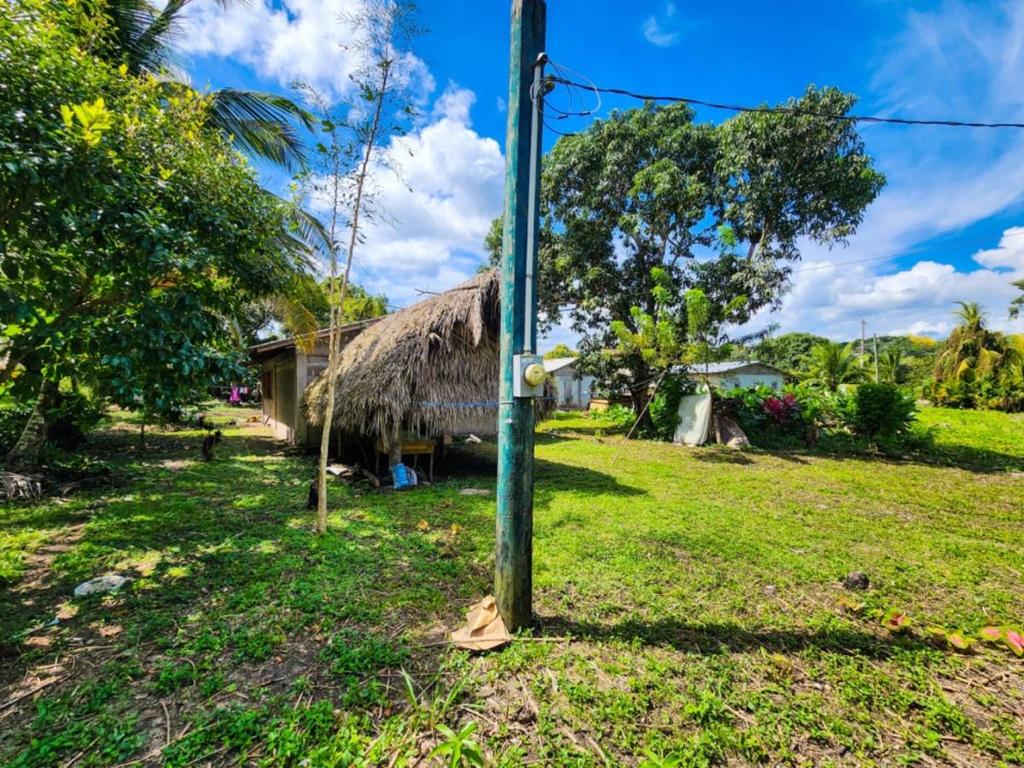 listing image with ID 64395