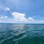 listing image thumbnail with ID 65078