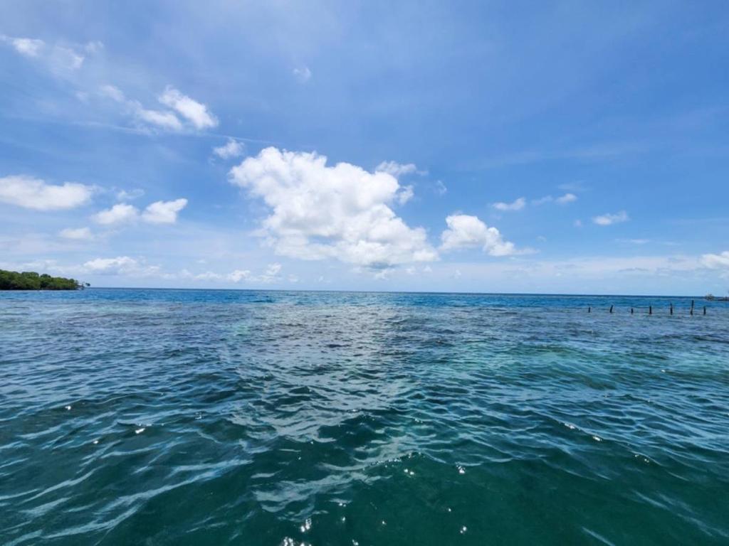 listing image with ID 65078