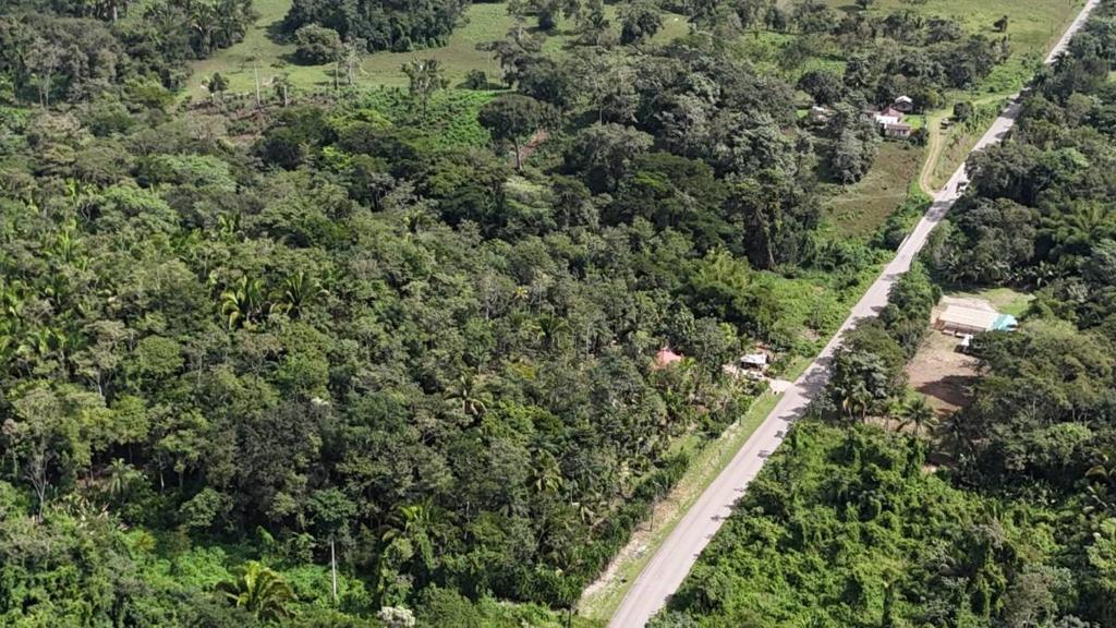 listing image with ID 66154