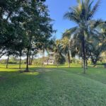 listing image thumbnail with ID 67616