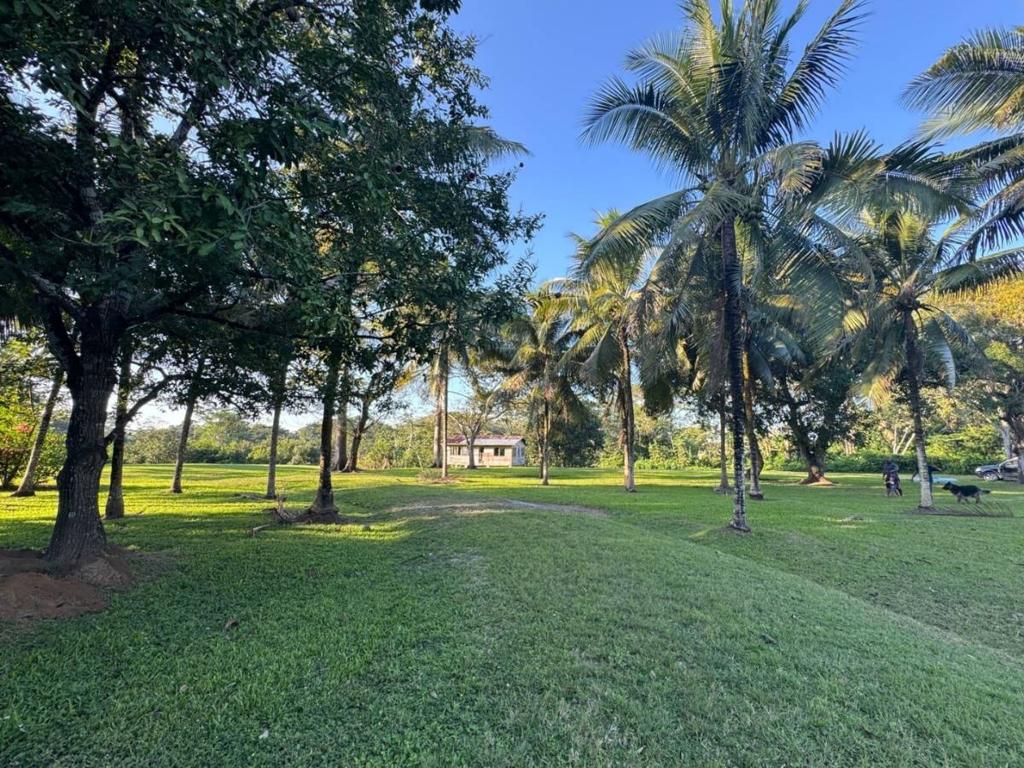 listing image with ID 67616