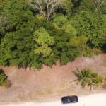 listing image thumbnail with ID 65118