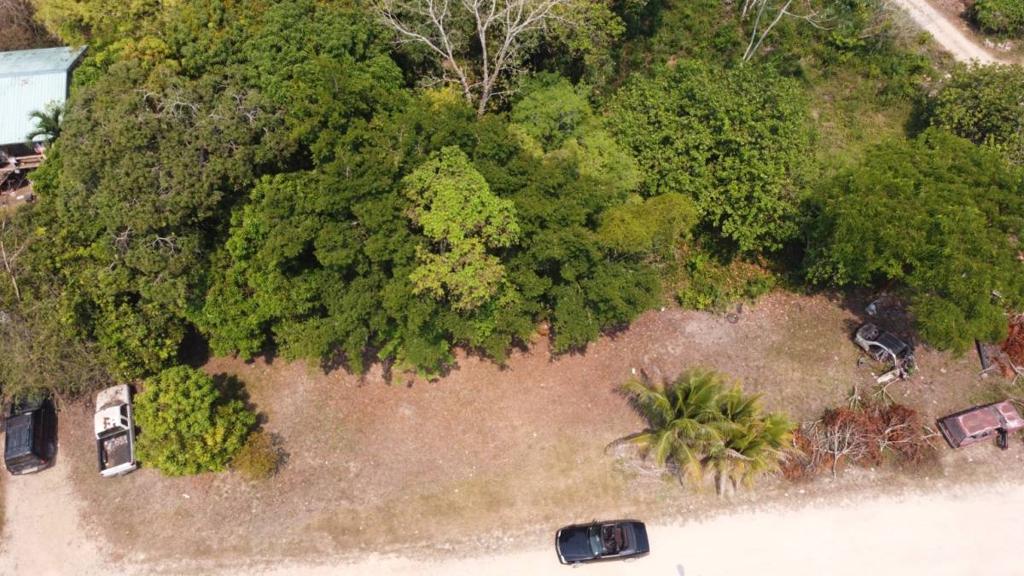 listing image with ID 65118