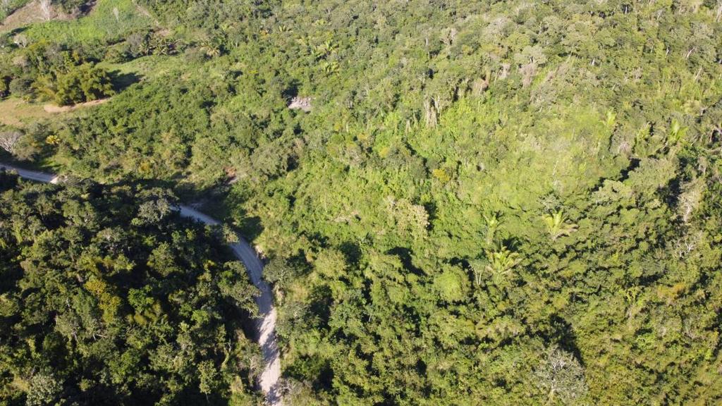 listing image with ID 67578