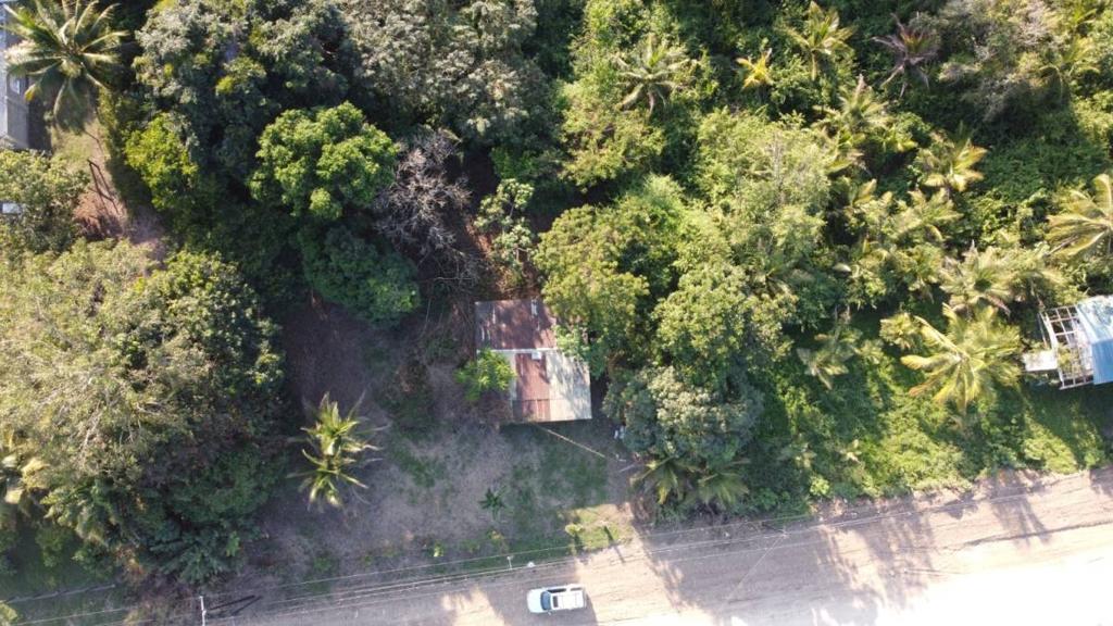 listing image with ID 66109