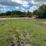 listing image thumbnail with ID 65209