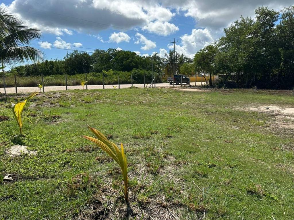 listing image with ID 65209