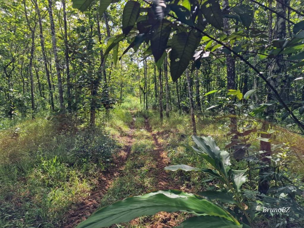 listing image with ID 64203