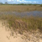 listing image thumbnail with ID 68110