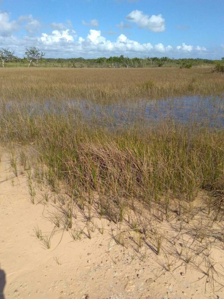 listing image with ID 68110