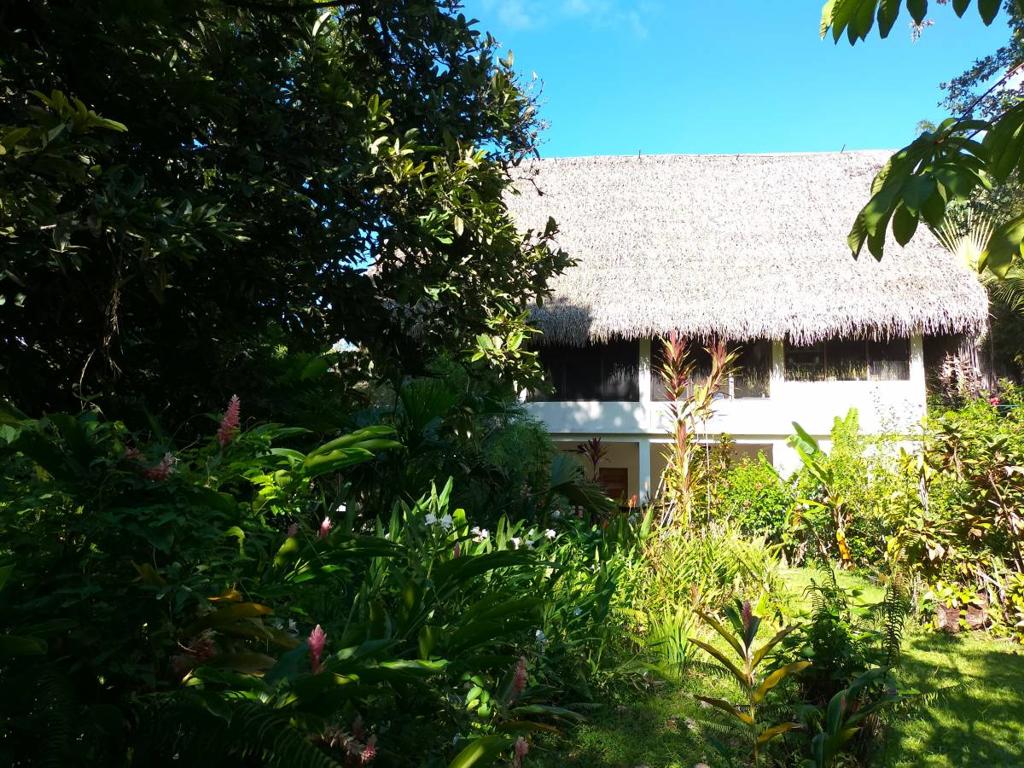 listing image with ID 65499