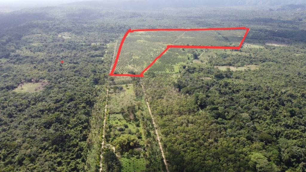 listing image with ID 68132