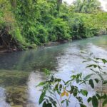 listing image thumbnail with ID 67346