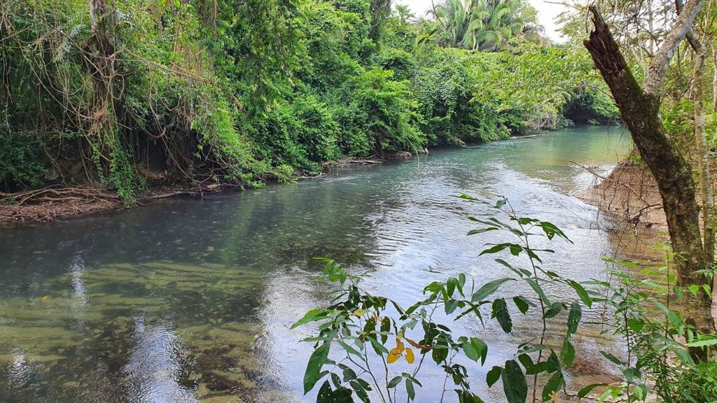 listing image with ID 67346