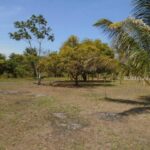 listing image thumbnail with ID 64456