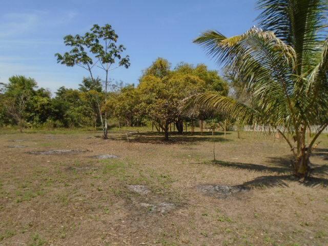 listing image with ID 64456