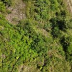 listing image thumbnail with ID 63686