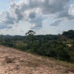 listing image thumbnail with ID 65202