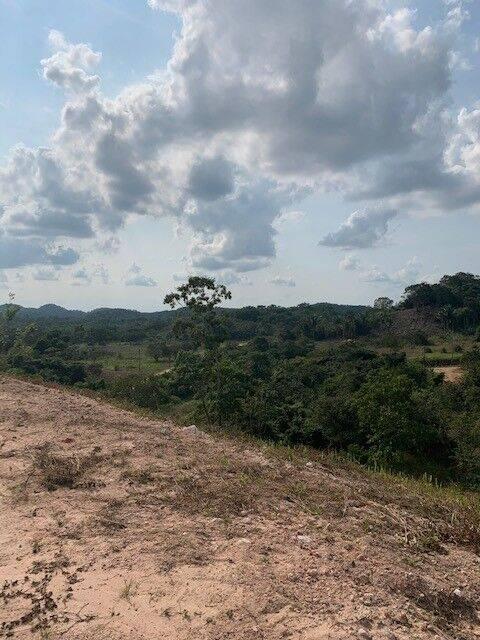 listing image with ID 65202