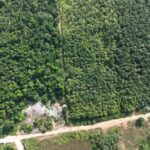 listing image thumbnail with ID 68062