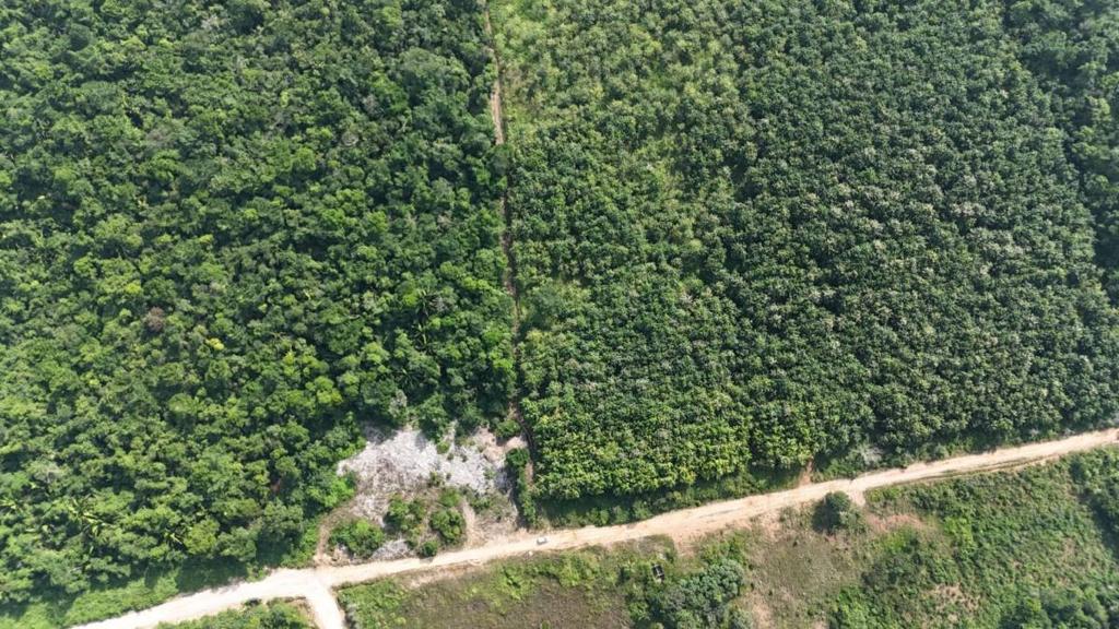 listing image with ID 68062