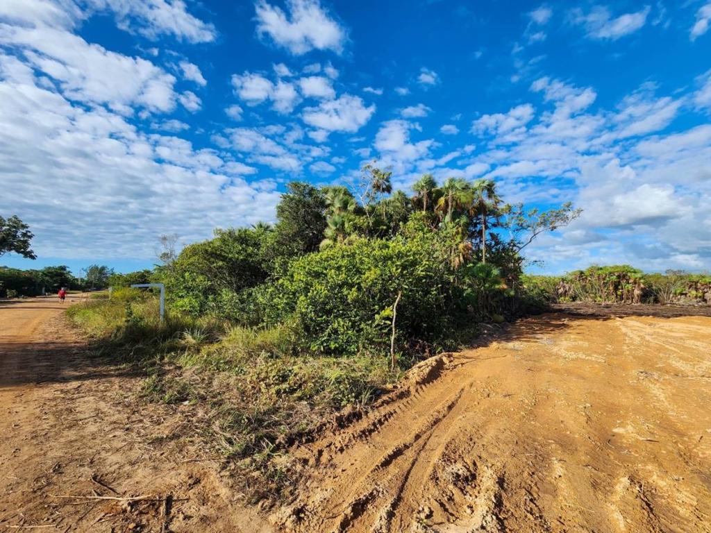 listing image with ID 63859