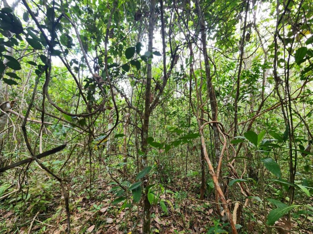 listing image with ID 64867