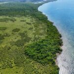 listing image thumbnail with ID 63753