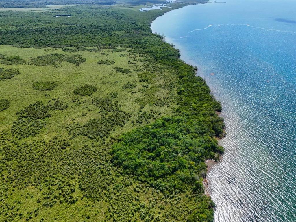 listing image with ID 63753