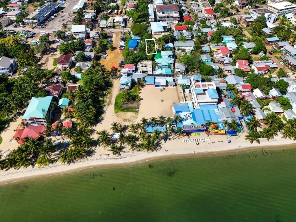 listing image with ID 64544