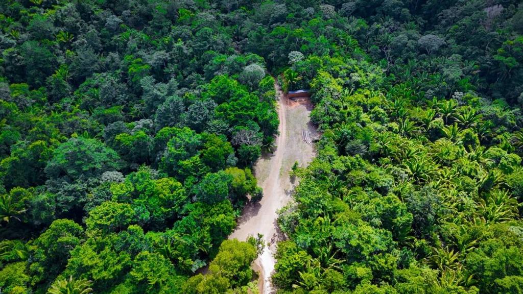 listing image with ID 63933