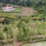 listing image thumbnail with ID 64992