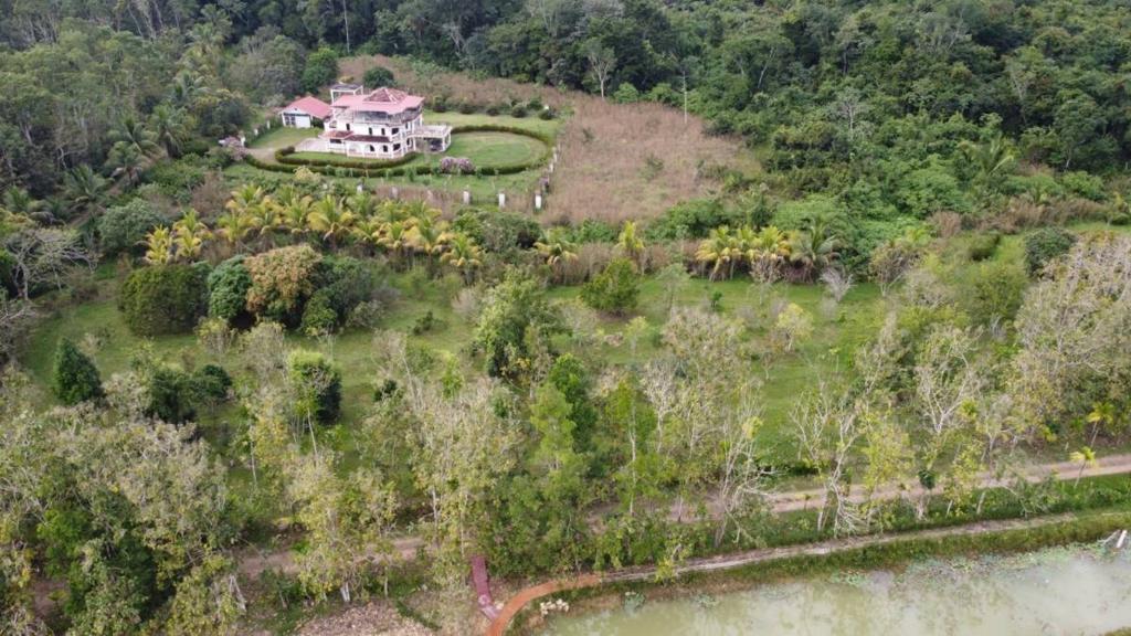 listing image with ID 64992