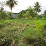 listing image thumbnail with ID 64161