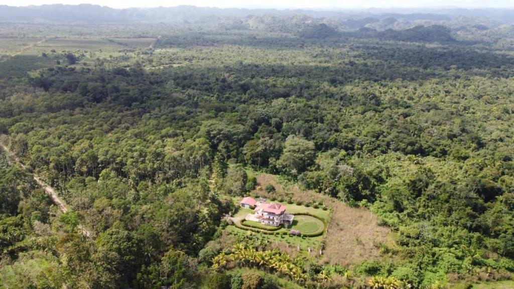 listing image with ID 64964