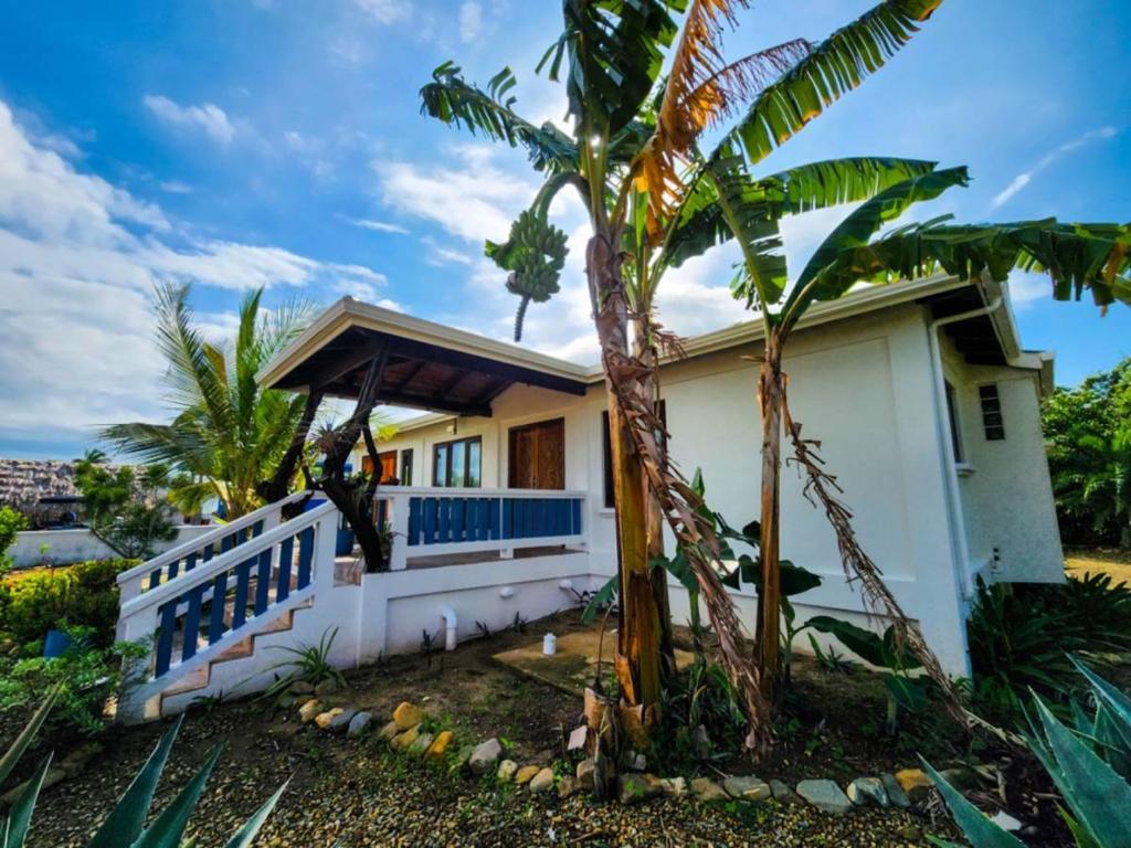 listing image with ID 67291