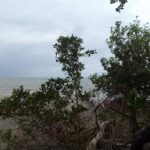 listing image thumbnail with ID 68468