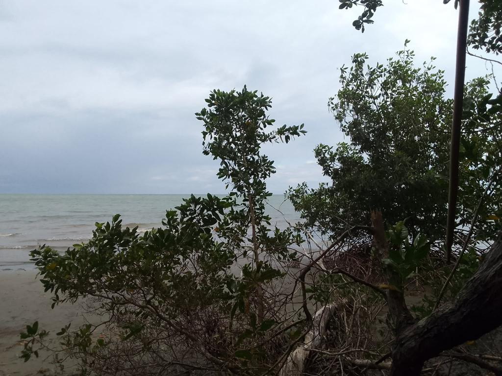 listing image with ID 68468